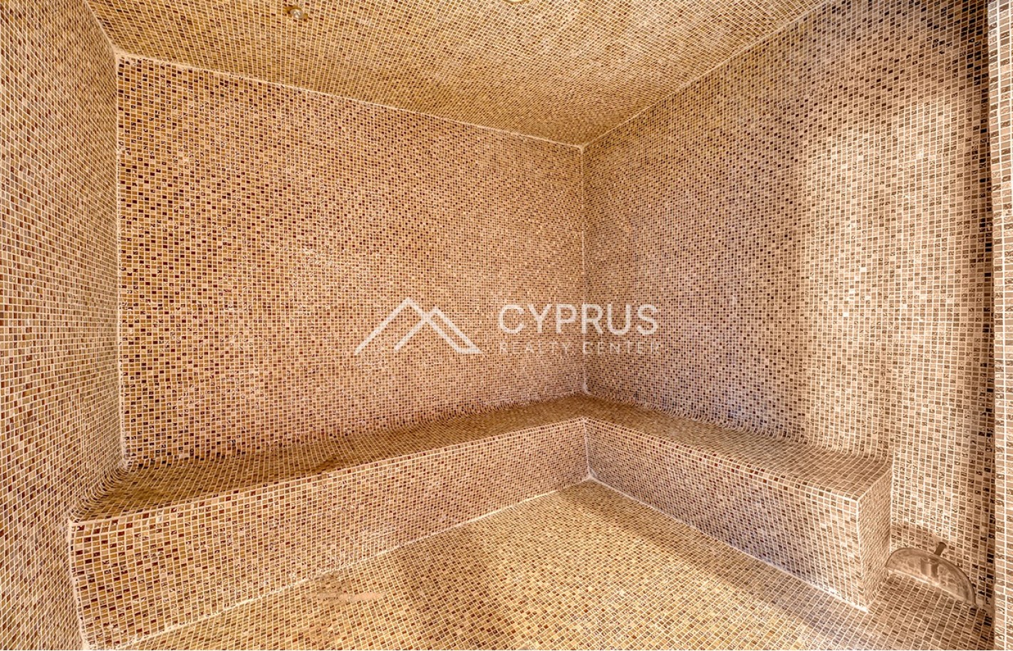 Трехспальные апартаменты в Лимассоле, Agios Tychonas - фото 31