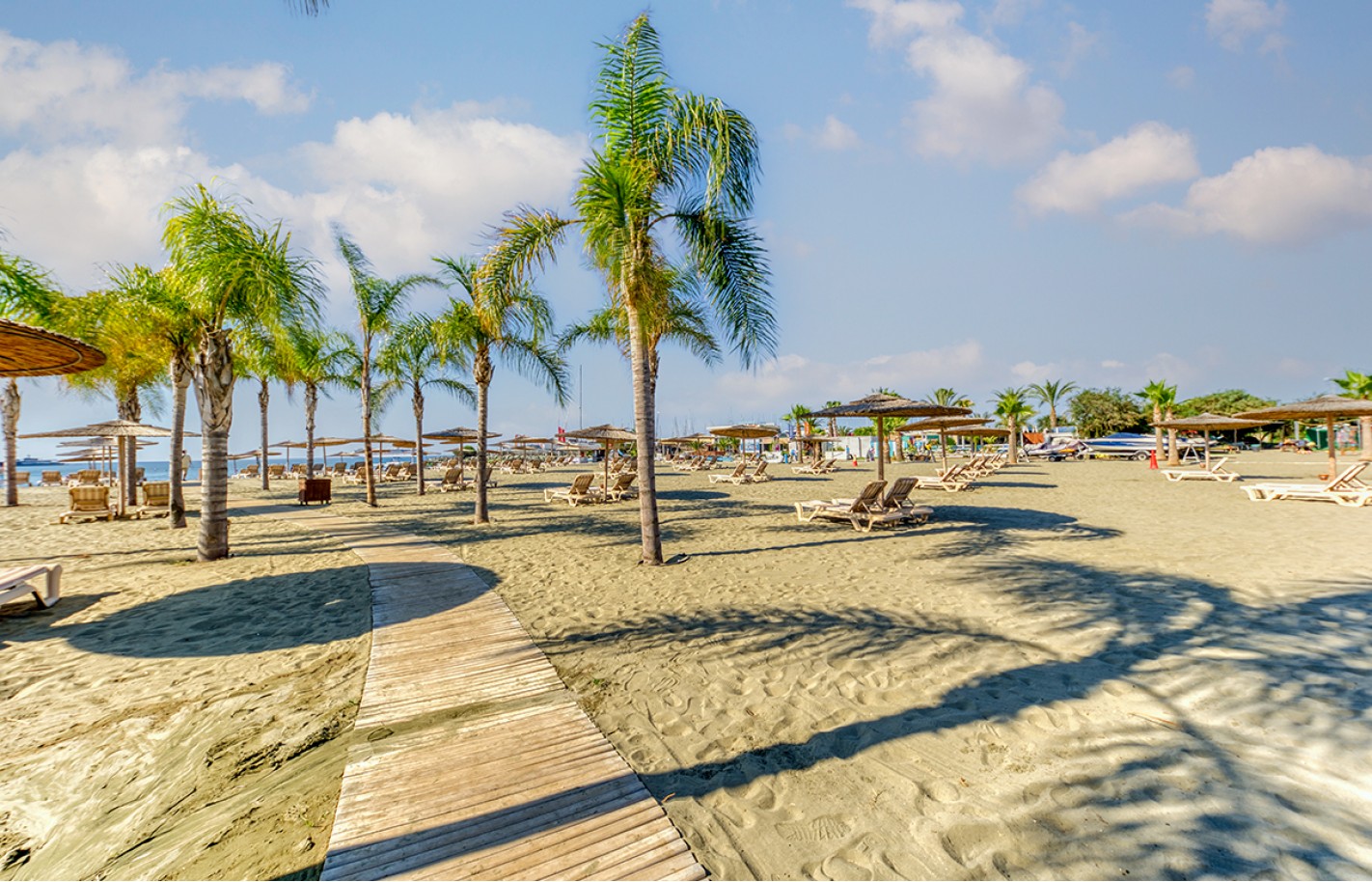 Three bedroom apartment in Limassol, Amathusia - фото 32