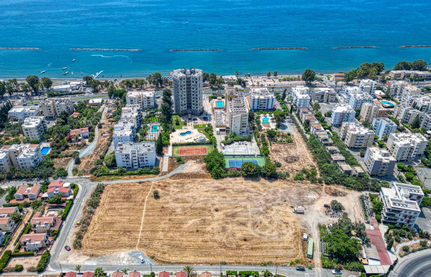 Большое фото