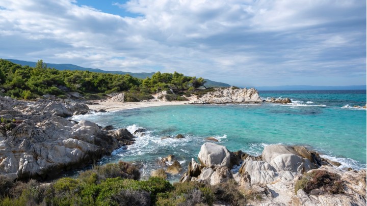 Категория Земельные участки