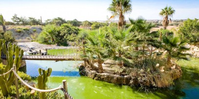 Best Areas in Limassol to Live