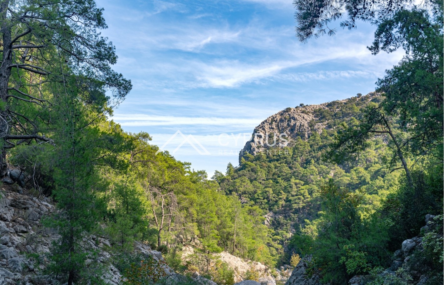 Three bedroom villa in Troodos, Prodromos - фото 8