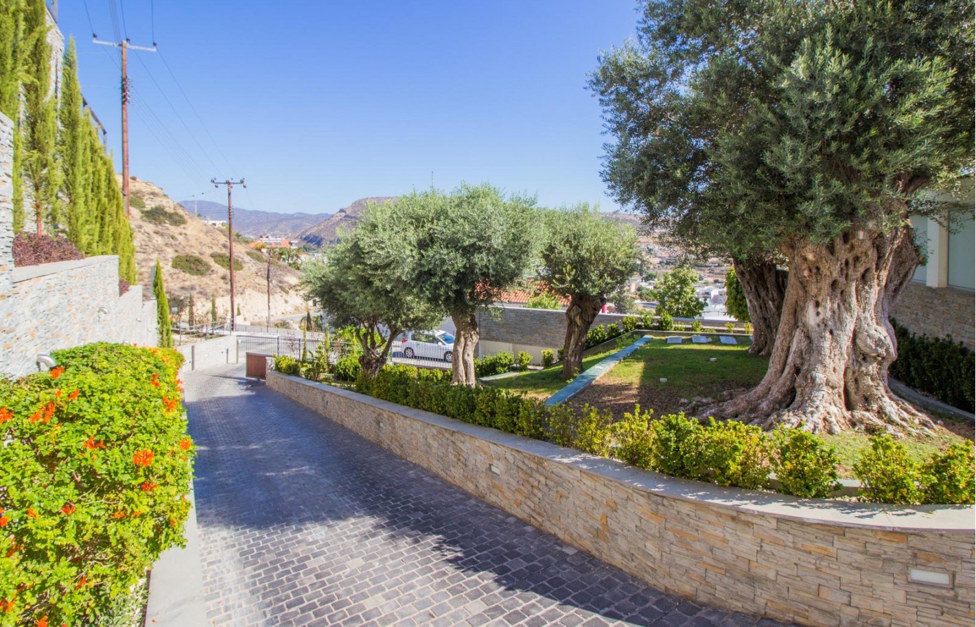 Вилла в Лимассоле с 5 спальнями, Germasogeia - фото 28